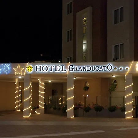 Hotel Granducato 3*